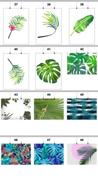 ПОСТЕР ЛИСТА ЛИСТЬЯ РАСТЕНИЯ 90x60СМ MAT 78 ДИЗАЙНОВ