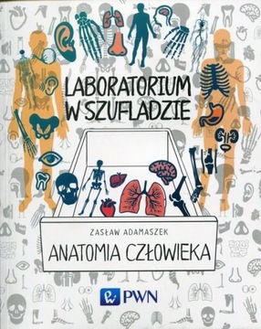 Laboratorium w szufladzie Anatomia człowieka PWN