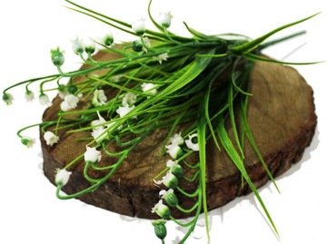 KONWALIA BUKIET KONWALII KONWALIE BIAŁE 34 cm