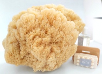 Губка SEA Sponge Natural Grass Тропическая губка среднего размера