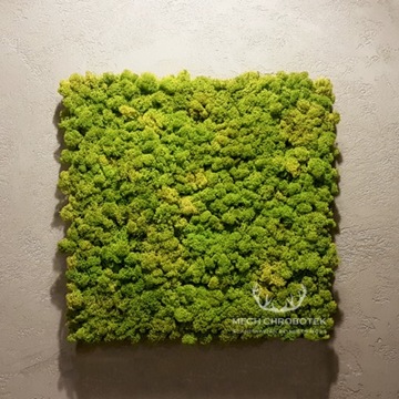 ХРОБОТЕК МОСС Оригинал СВЕТЛО-ЗЕЛЕНЫЙ - 2,5 кг