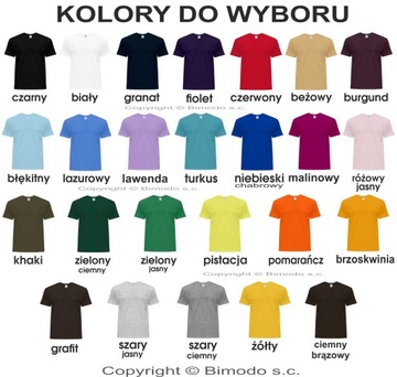 KOSZULKI Z WŁASNYM nadrukiem LOGO FIRMY 1 kolor