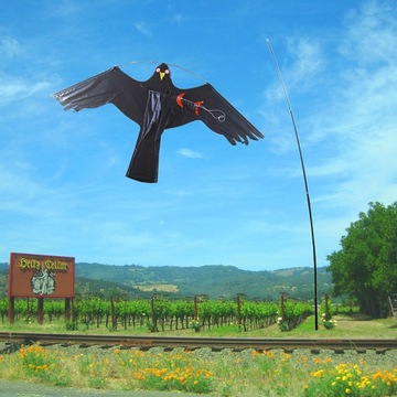 МЕГА БОЛЬШОЙ ОТПУСКАТЕЛЬ ПТИЦ Змей для животных