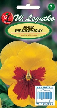 Bratek Szwajcarski wielkokwiatowy Yellow Red Eye