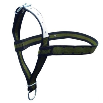 Kantar dla krów i młodych byków