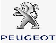 DMUCHAWA WENTYLATOR PEUGEOT 1007 206 307 EUROPA