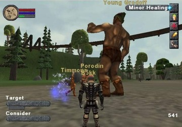 PS2 EVERQUEST ОНЛАЙН ПРИКЛЮЧЕНИЯ ЛОДЗЬ РЗГОВСКА