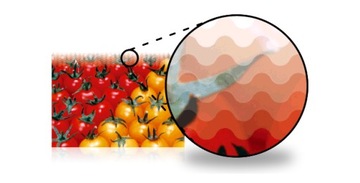 Плакаты А0 [841х1189мм] экосольвентный СЕРТИФИКАТ UMS