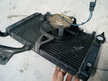 YAMAHA YZF 600 THUNDERCAT ВОДЯНОЙ ВЕНТИЛЯТОР РАДИАТОРА