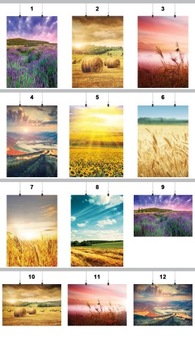 ПОСТЕР ПОЛЕ-ПЕЙЗАЖ 90х60 СМ 16 УЗОРОВ МАТОВЫЙ