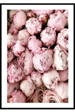 A4 Plakat pudrowy róż kwiaty peonie bukiet kobiecy