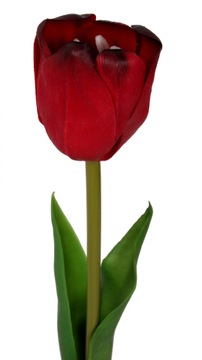 TULIPAN GUMOWANY JAK ŻYWY PRZEPIĘKNY BORDOWY