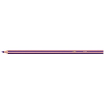 Небьющиеся школьные мелки, 12 цветов BIC Evolution