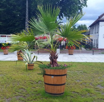 Большой садовый вазон, деревянный вазон Д27Х30