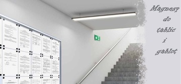 Магниты разных цветов 8 шт.