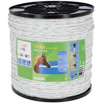 PASTUCH PLECIONKA LINKA TITAN 500 METRÓW 6MM