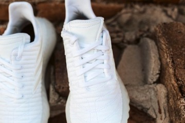 ADIDAS ORIGINALS СОБАКОВ