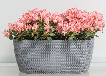 Горшки для цветов Джерси Насадки овальные 38х18 h16 - цвета