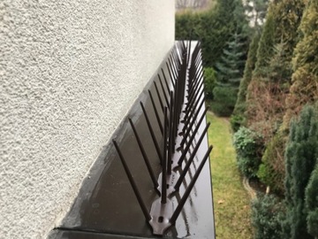 ШИП ИЗ ПОЛИКАРБОНАТА ДЛЯ ПТИЦ, ГОЛУБЕЙ, 4 ЦВЕТА