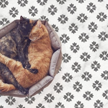 ШАБЛОНЫ ПОКРАСКИ плитки ТУРИЗ 10х10