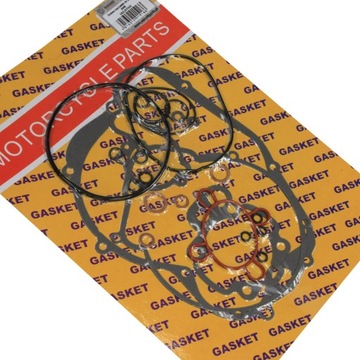 USZCZELKI SILNIKA MINARELLI AM6 APRILIA RS TZR KPL