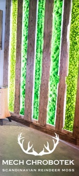 МОСС Reindeer Spring Green 5кг ПРЕМИУМ