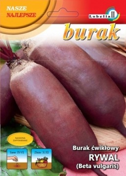 BURAK ĆWIKŁOWY RYWAL- 10 GRAM Nasiona Nowa Dostawa