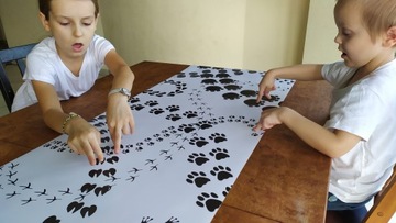 Отпечатки лап и следы животных BIG MAT 50x250