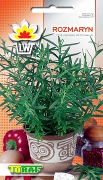 ROZMARYN Rosmarinus Officinalis nasiona ziół 0,1g