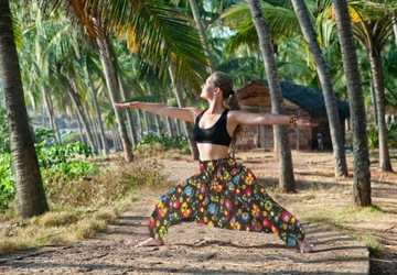 SZARAWARY HAREMKI ŁOWICKI RAJ YOGA ALLADYNKI