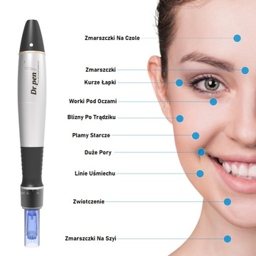 Dr Pen A1-C + 10 картриджей для мезотерапии Dermapen