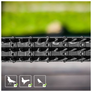 NAJWYŻSZE KOLCE LISTWA NA PTAKI PRZECIW GOŁĘBIOM