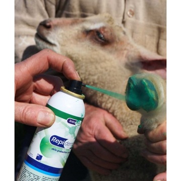 Repiderma Spray do kopyt 250 ml