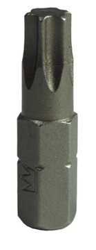 BIT GROT TORX 35x25MM 