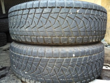 215/70R16 Бриджстоун Близзак ДМ-23