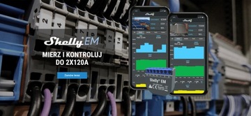Shelly EM WiFi Измерение энергопотребления 2 канала