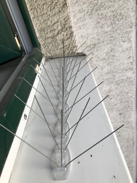 ШИРОКИЙ ПЛОТНЫЙ КОЛОС ДЛЯ ПТИЦ ДЛИНОЙ 50 см ШИРИНА ЗАЩИТА ДО 24см