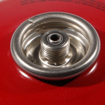 MSR IsoPro картридж 110 г