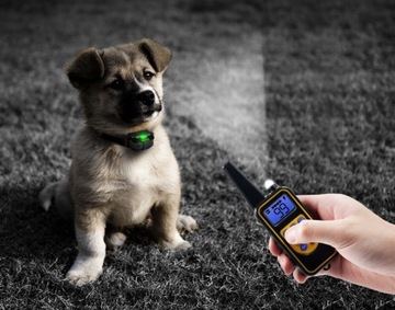 Электрический ошейник для дрессировки собак 800М, пульт дистанционного управления, ремень, подушечки, лампочка