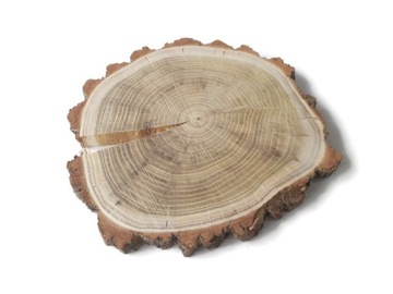 Drewniane Plastry drewna Akacja szlifowane 20-25 cm