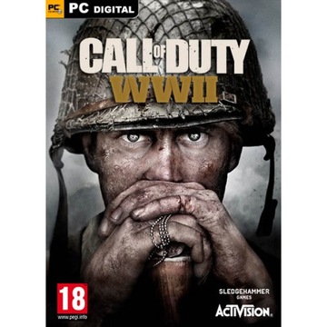 CALL OF DUTY WORLD WAR II WWII 2 KLUCZ STEAM