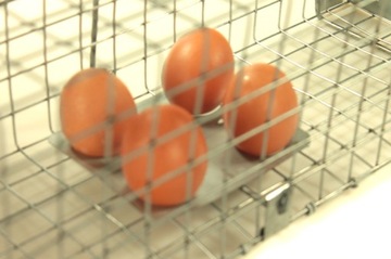 живая ловушка ловушка для крыс грызунов большая ловушка