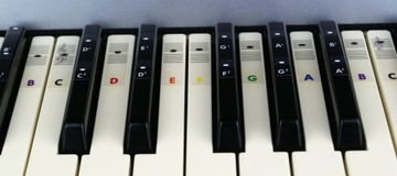 Etykiety nuty ułatwiające naukę (keyboard) B