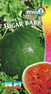 ARBUZ SUGAR BABY - 1 GRAM Nowa Dostawa