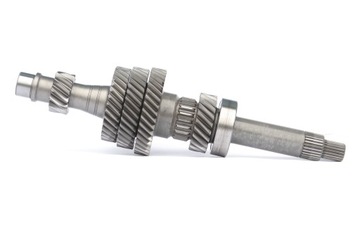 Wał wejściowy kompletny Powershift 6DCT450 MPS6