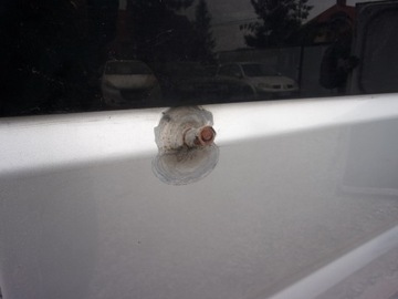 РАЗДВИЖНЫЕ ДВЕРИ ПРАВЫЕ DUCATO III BOXER 06-