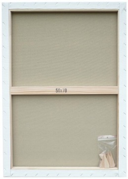 DaVINCI PODOBRAZIE 50x70 PODOBRAZIA 50/70 BLEJTRAM
