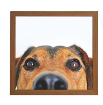 Рамка для фото Italia квадратная 30х30 шоколадная