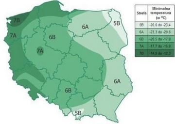 НАБОР ИЗ 10 НАБОРОВ МЕДВЕДЯ (3,30 зл./шт.)