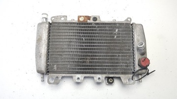 ДАТЧИК ВОДООХЛАДИТЕЛЯ PIAGGIO X9 125